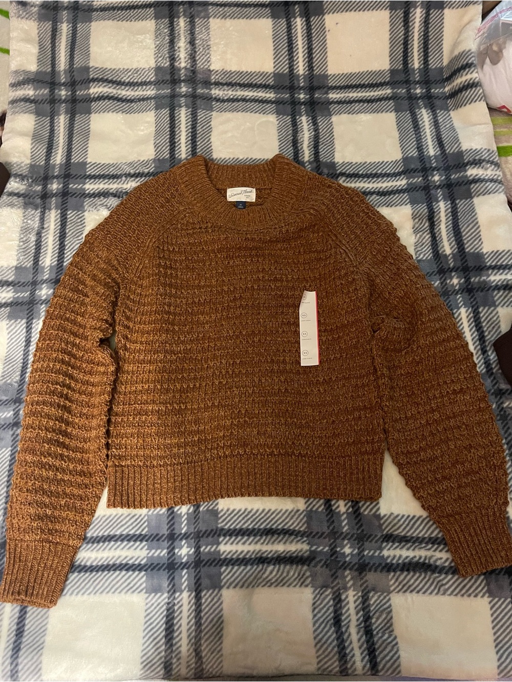 Target Cozy Chunky Knit Sweater - Brown Orange